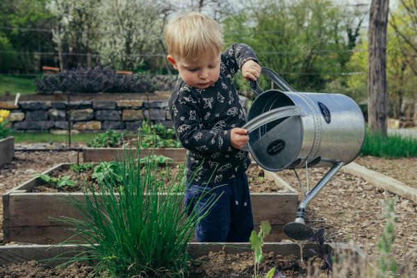 Photograph of a toddler watering plants outside