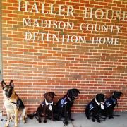 Five therapy dogs from Got Your Six Support Dogs sit in front of Madison County Juvenile Detention Center.
