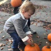 Child picking out a pumpkin