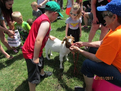 Children at an outdoor petting zoo