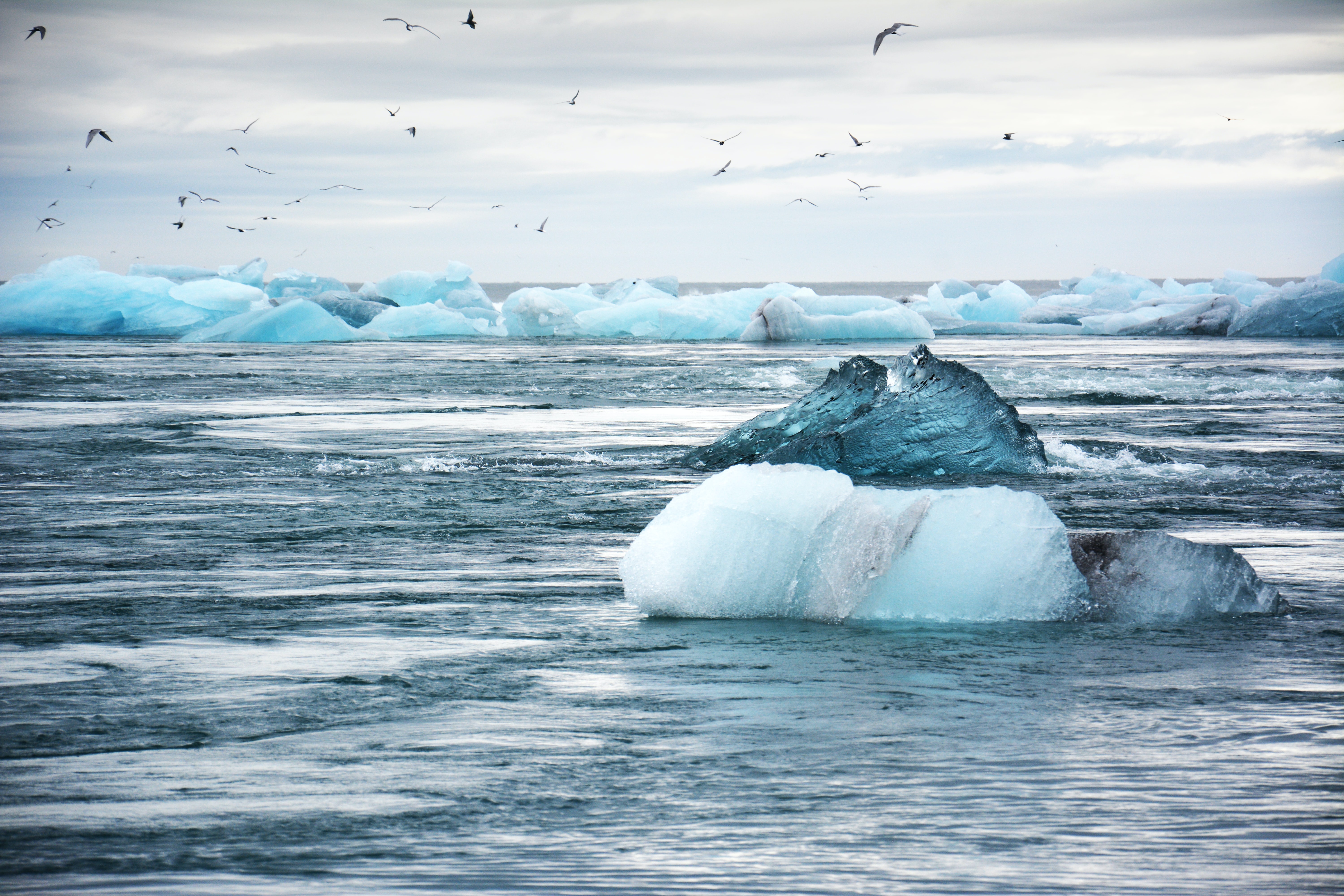 Ледовитый океан видео. Арктика Северный Ледовитый океан. Глобальное потепление Северного Ледовитого океана. Северный Ледовитый океан лед море. Берег Северного Ледовитого океана.