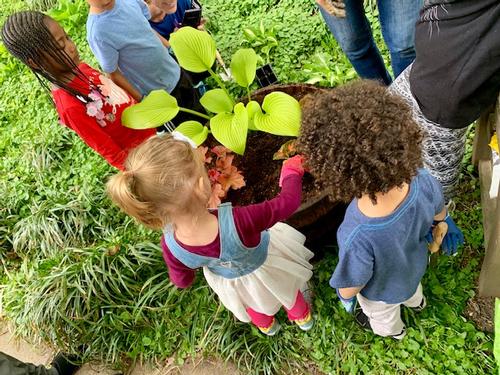 Gardening For Kids Programs Grow Community Connections Programming Librarian