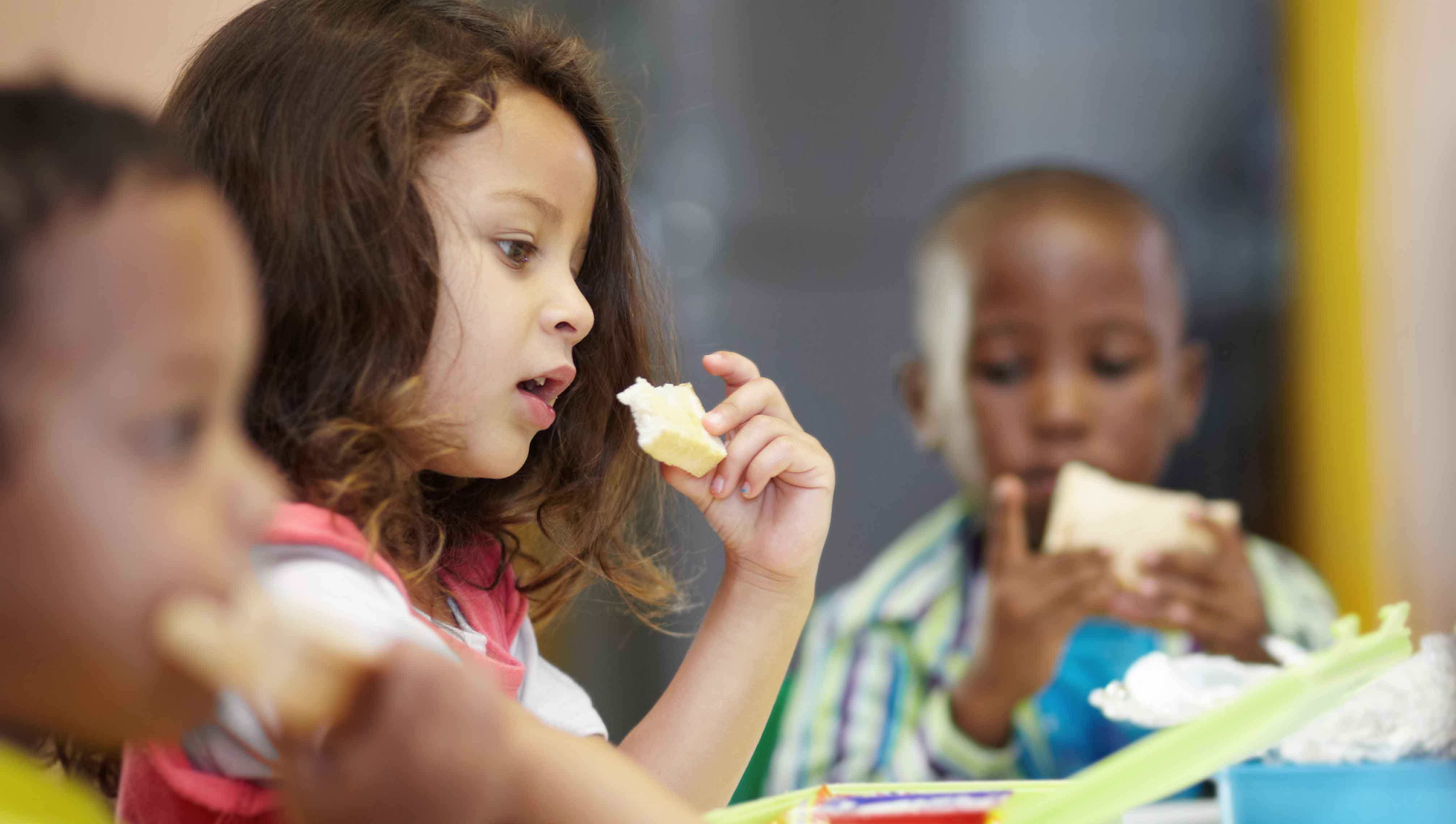 Libraries Help Each Other Address Food Insecurity through Programming ...