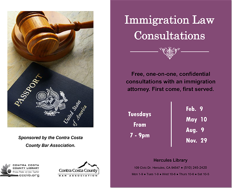 Immigration Law Consultations