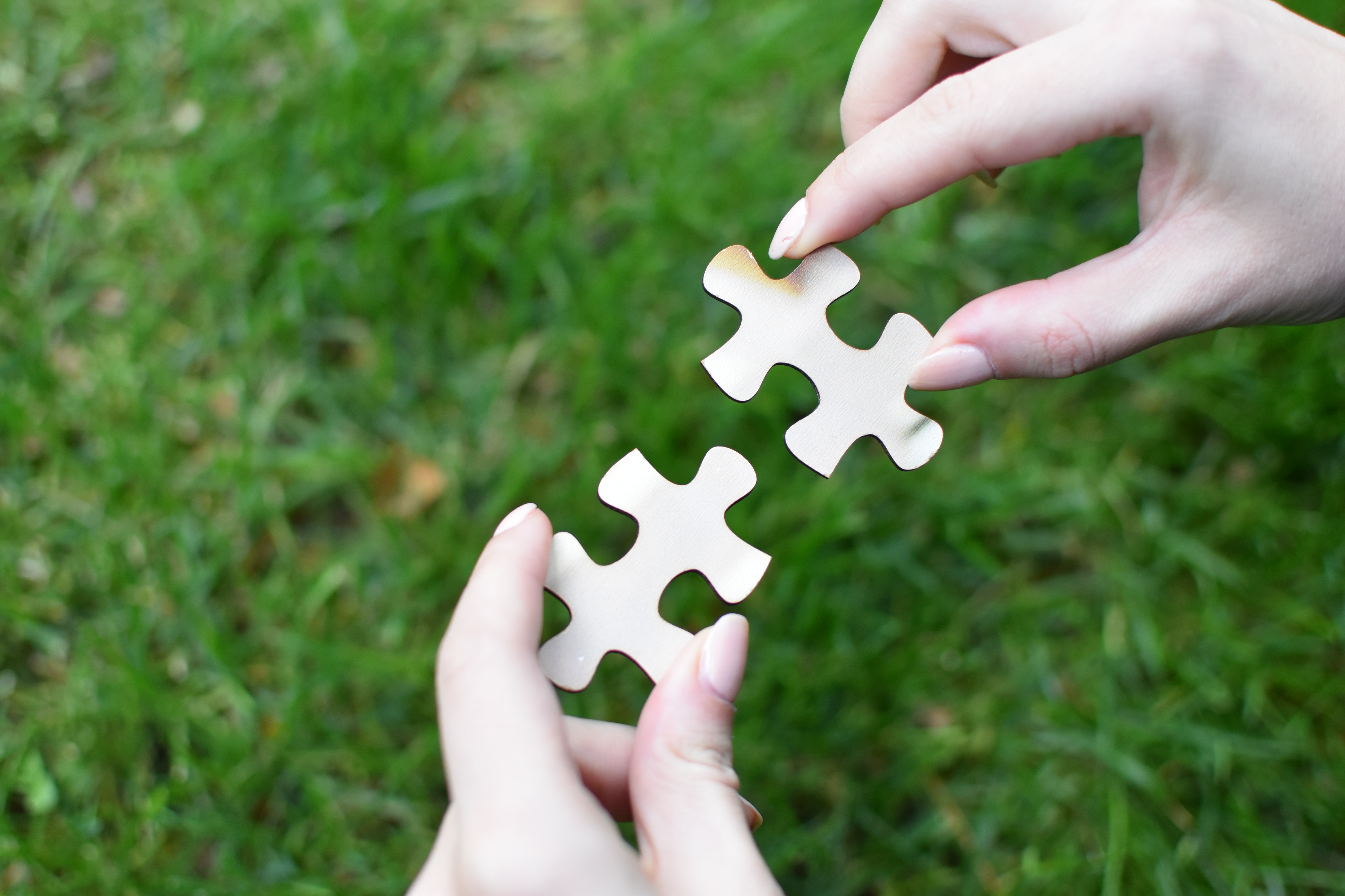 Photograph of two matching puzzle pieces being held over a patch of grass.