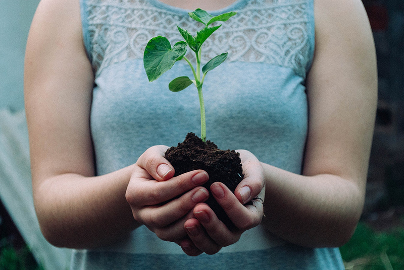 Horizon Plants Grow To Order Program