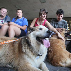 Students take a break with rescue dogs outside of the Linus A. Sims Memorial Library at Southeastern Louisiana University.  (Southeastern Louisiana University Office of Public Information)
