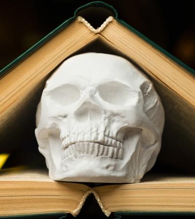 skull wedged between two books on dark glowy background