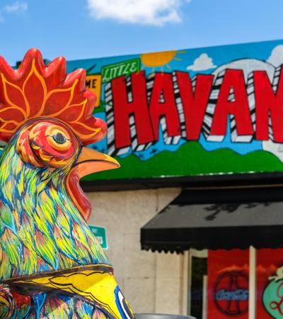 Little Havana historic Calle Ocho rooster in Miami's Little Havana