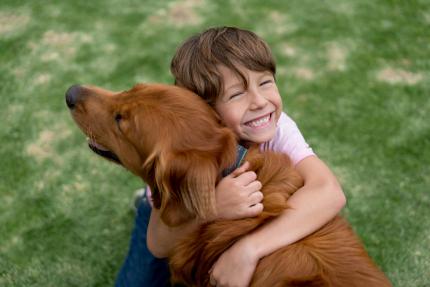 boy hugging dog Joyful boy hugging happy golden retriever on grassy lawn