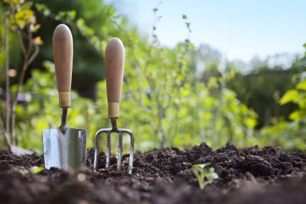 hand trowel and fork standing in garden soil with background of greenery