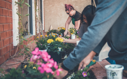 Photograph of people gardening in raised flowerbeds.