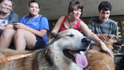 Students take a break with rescue dogs outside of the Linus A. Sims Memorial Library at Southeastern Louisiana University. (Southeastern Louisiana University Office of Public Information) Students take a break with rescue dogs outside of the Linus A. Sims Memorial Library at Southeastern Louisiana University. (Southeastern Louisiana University Office of Public Information)