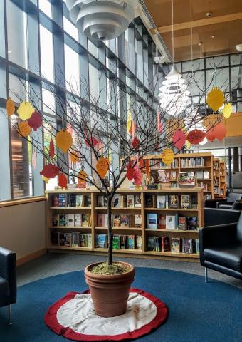 Picture of tree in library with paper leaves hanging Picture of tree in library with paper leaves hanging