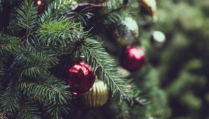 tree with holiday decorations tree with holiday decorations