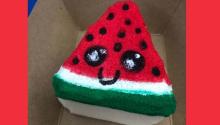 watermelon squishy toy watermelon squishy toy