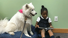 Read to a Dog Girl reading with therapy dog