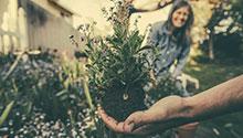 Photo credit: Benjamin Combs Hand holding a plant in foreground, with woman smiling in background