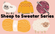 Illustration of sheep, a knit sweater, two bundles of yarn on a light pink background. Text reads: Sheep to Sweater Sries.