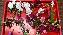 Flower Petal Suncatchers Tray of fresh flowers