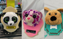 Photograph of three final Stuffed Animal Taxidermy boards. Left to right: Panda stuffed animal, Pink Leopard on pink board, Dog on green board