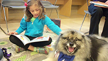 Child reading to fluffy dog Child reading to fluffy dog