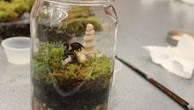 Earth Day Terrariums A terrarium with a toy dragon is on top of a table.