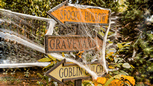Spooky direction signs Spooky direction signs