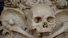 Skull Photo by Bistrian Iosip on Unsplash Skull Photo by Bistrian Iosip on Unsplash