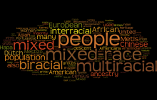 A Wordle that describes what it means to be multiracial Ae Wordle that describes what it means to be multiracial