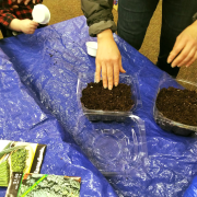 Plastic containers with dirt