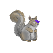 Sleeping Squirrel