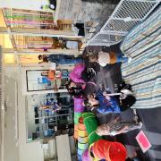 Babies and their caregivers dance around the Baby Rave room