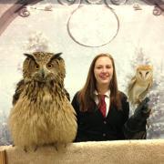 Yule Ball Attendee with owls