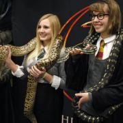 Chamber of Secrets - Yule Ball Attendees with snakes