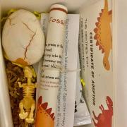 Photograph of Dinovember contents: Dinosaur boxes, clay, egg, three small dinosaur toys and certificate of adoption.
