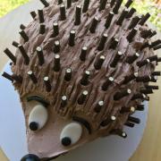 Photo of a hedgehog cake