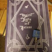 Magical Crafts and Potions fake book