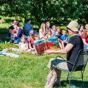 Librarian reading to crowd in the orchard