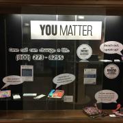 Library branch display