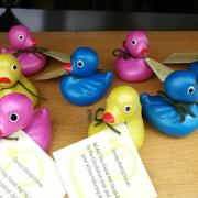 Photo of a group of rubber ducks with notes attached saying "Stress ReDUCKtion QUAK! You found me! Head down to the Circulation desk and claim your stress reducing prize!"