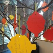 Colorful leaves hanging from the Poet-tree