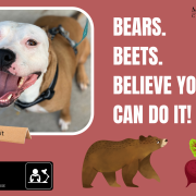PetGram example from McDaniel. Photograph of a dog named Bandit. Text reads: Bears. Beets. Believe you can do it!