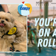 PetGram example from McDaniel. Photograph of a dog named Candy. Text reads: You're on a roll!