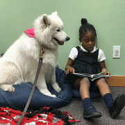 Girl reading with therapy dog