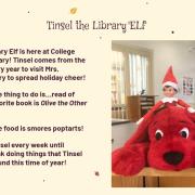 Introduction to the Tinsel the Library Elf from school slideshow