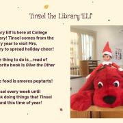Introduction to the Tinsel the Library Elf from school slideshow