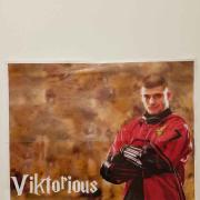 Viktor Krum poster