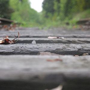 Close up of the Cross Kirkland Corridor, a former railroad right of way extending through the entire city of Kirkland, Washington (Elsa Steele)