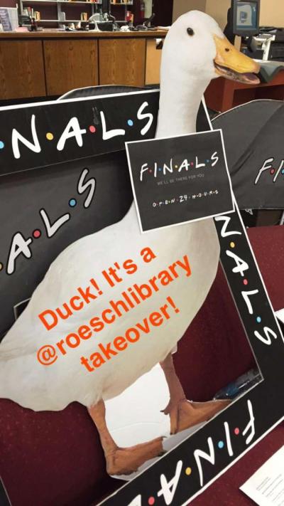 Ducks! It's a @roeschlibrary takeover!